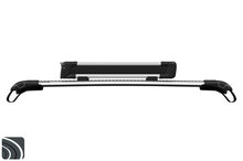 Thule SnowPack S 7322 laag op dakdrager