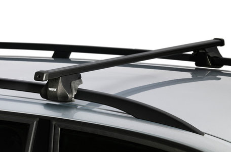 weduwe dubbele spoel Dakdragers Opel Astra G met dakrailing | staal of alu
